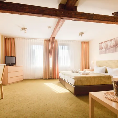 Отель Altes Forsthaus 3*