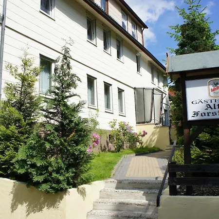 Hotel Altes Forsthaus 3*